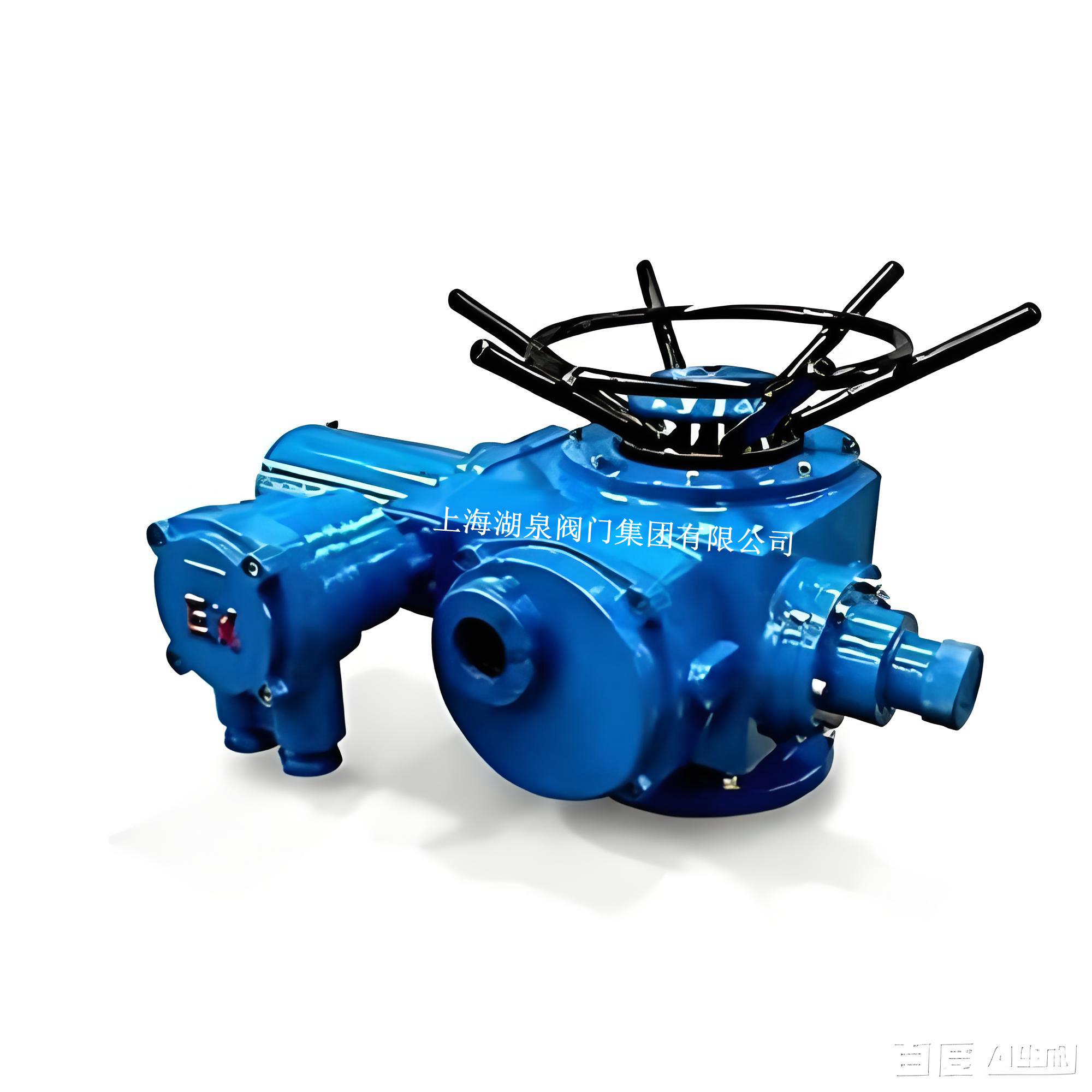 DZW120-18防爆型閥門電動(dòng)裝置(電壓等級(jí)：